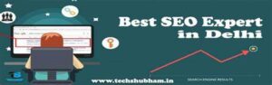 seo expert delhi